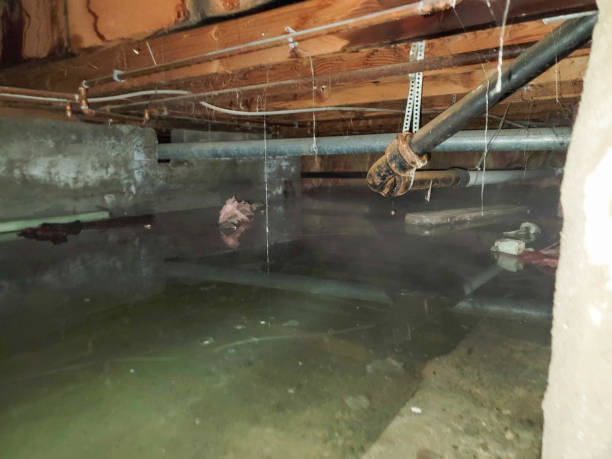 Water damage restoration mold remediation in OH