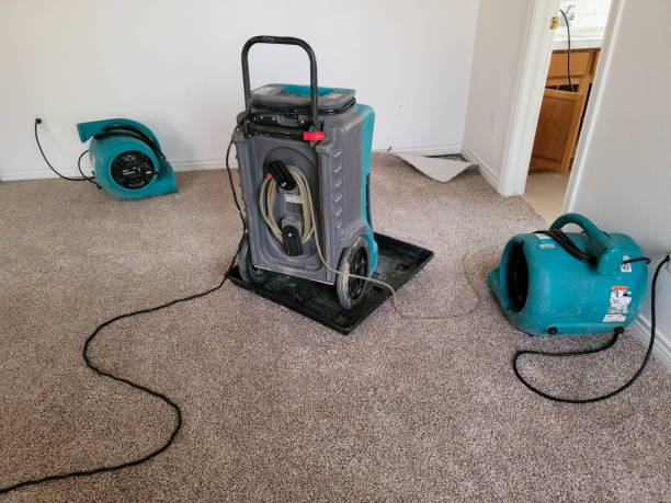 Best Professional water damage repair  in Chillicothe, OH