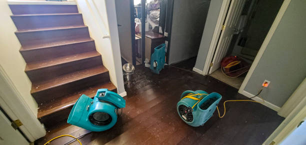  Chillicothe, OH Water damage restoration Pros