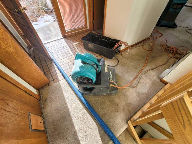 Best Water damage cleanup near me  in Chillicothe, OH