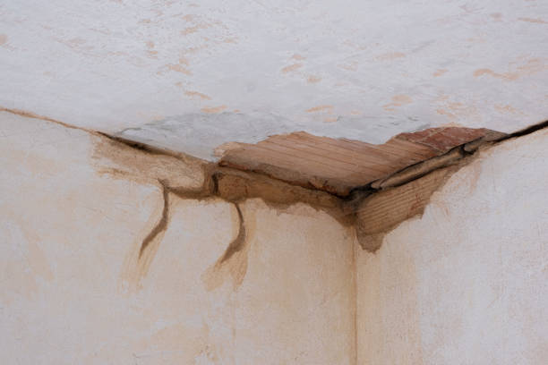 Local water damage restoration in OH