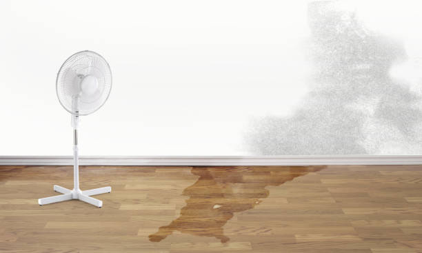 Best Residential water damage restoration  in Chillicothe, OH