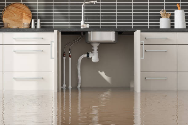 Best Flooded house restoration  in Chillicothe, OH