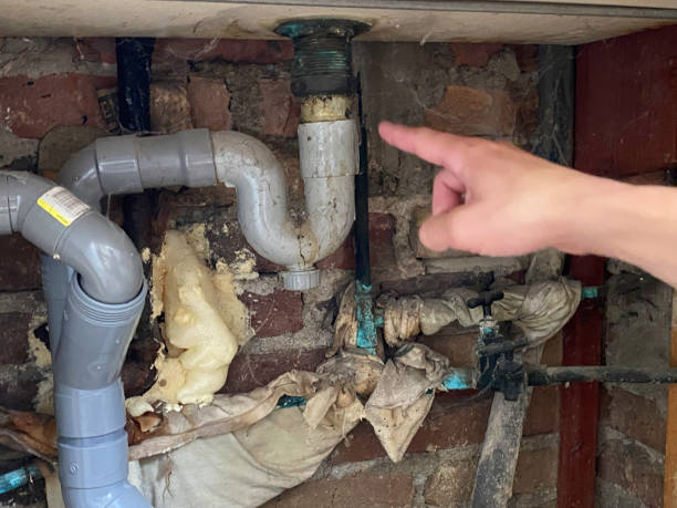 Best Flood restoration services  in Chillicothe, OH