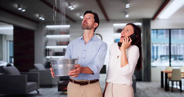 Best Sewage cleanup and water damage restoration  in Chillicothe, OH